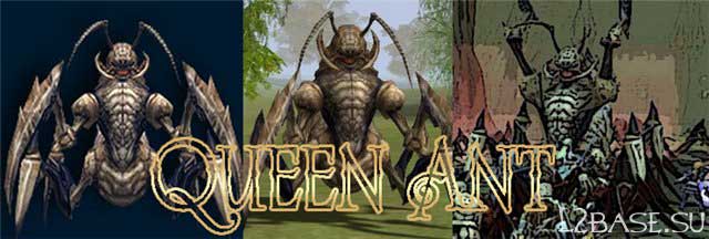 Королева Муравьев (Queen Ant)